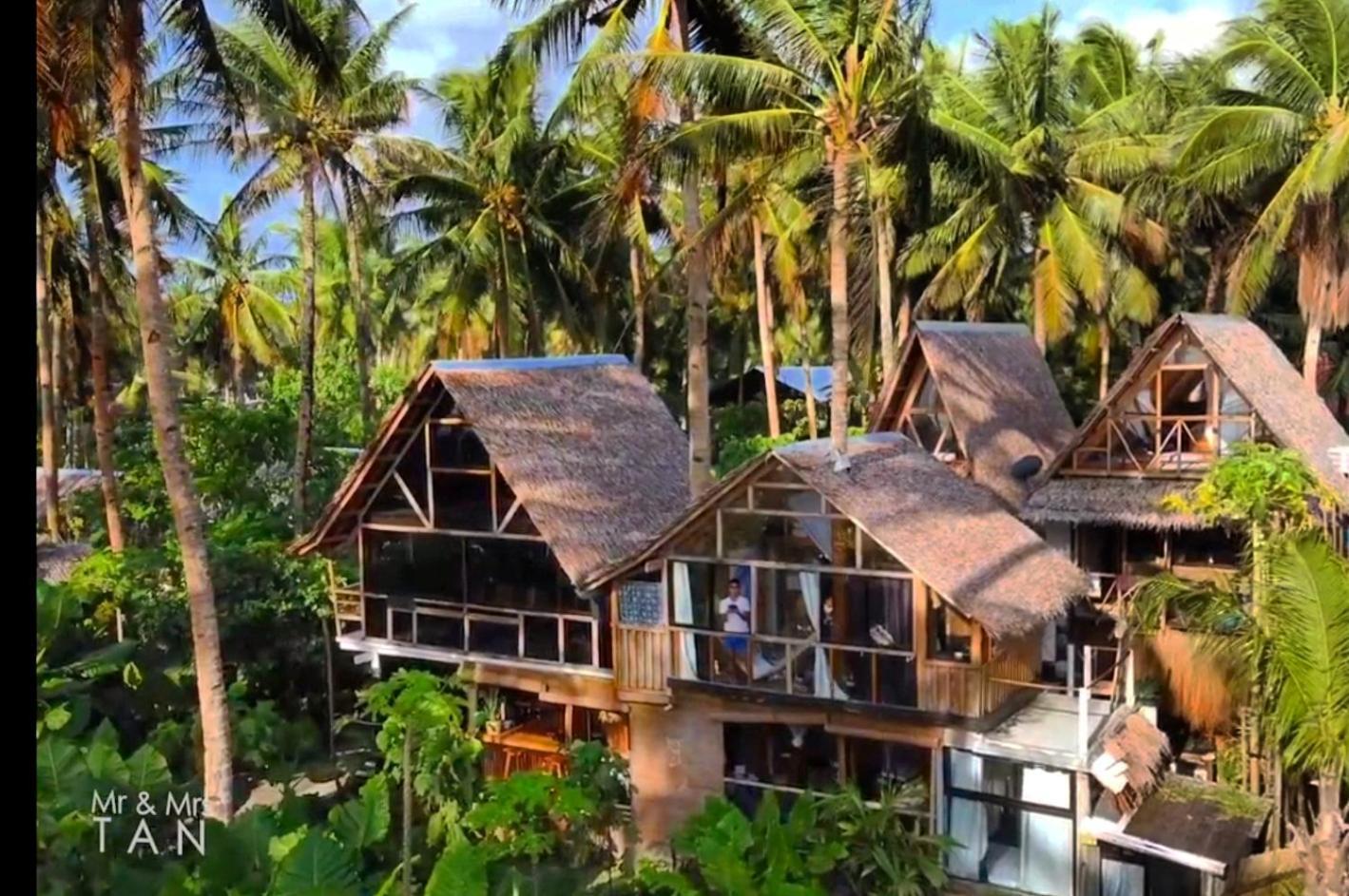 ホテル Tarzan'S House ゼネラル・ルナ エクステリア 写真